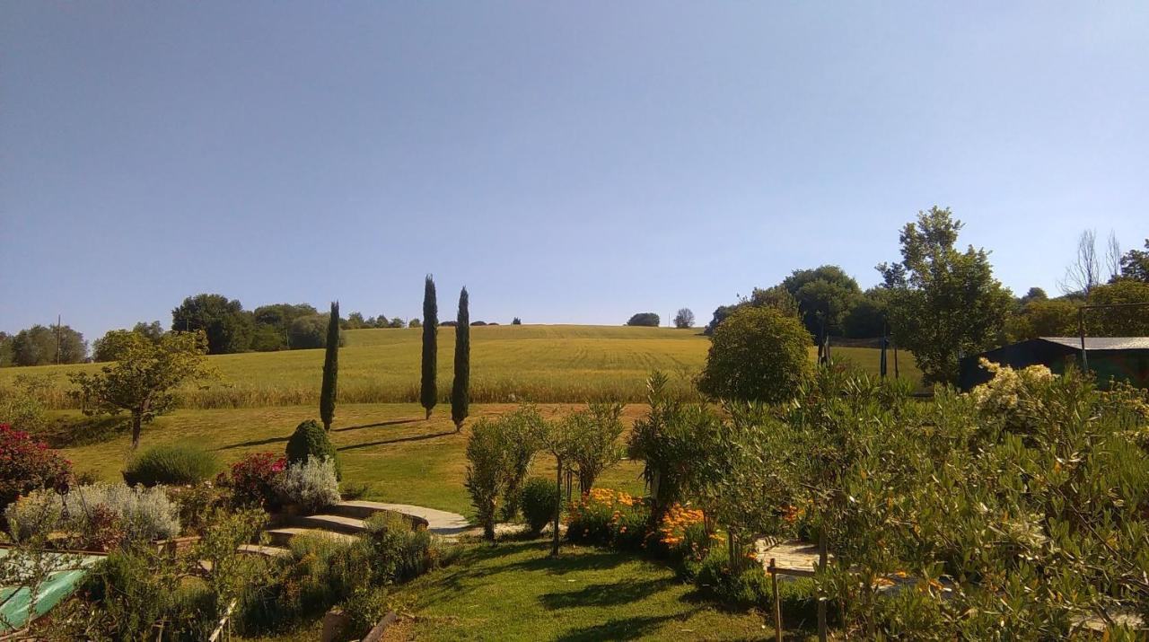Villa Nobile Cortona Family Apartments Eksteriør bilde