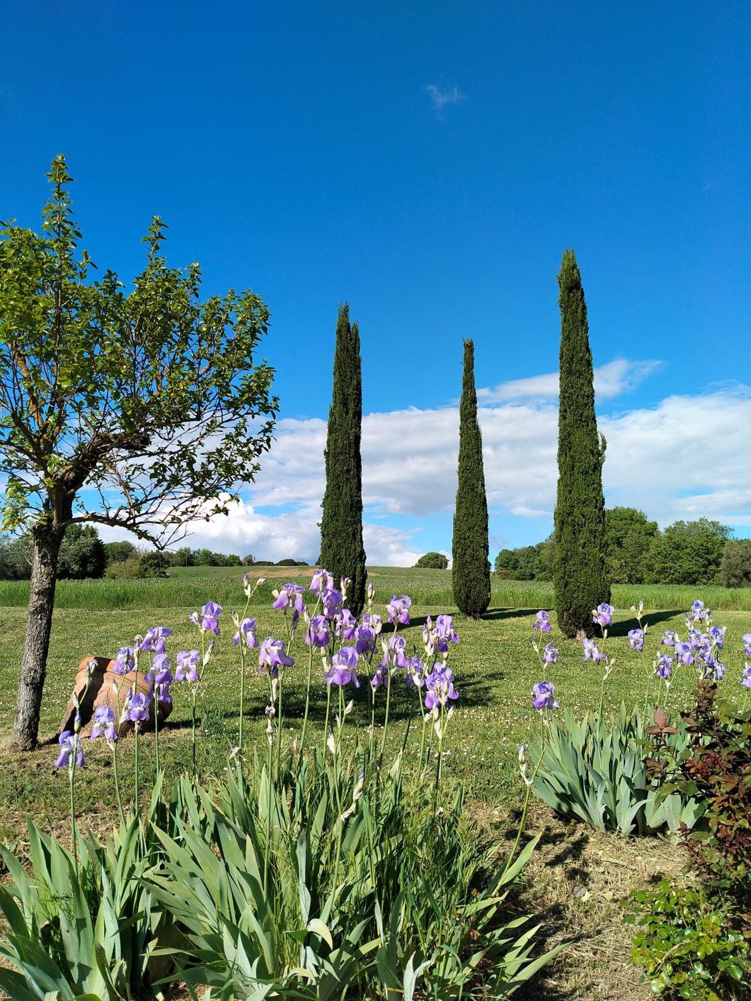 Villa Nobile Cortona Family Apartments Eksteriør bilde